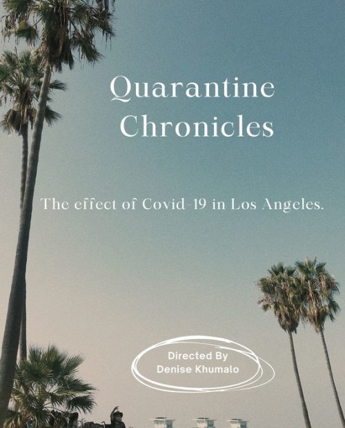 Quarantine Chronicles