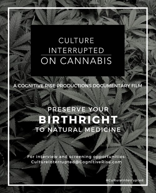Culture Interrupted on Cannabis